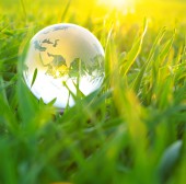 Suspendisse arcu nisl